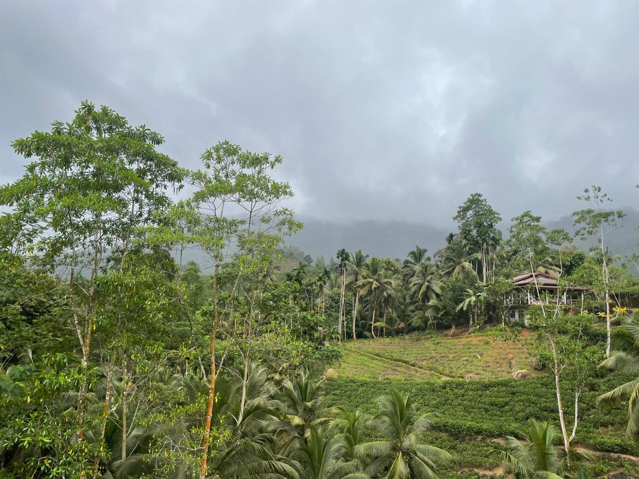 Modern bathroom with hot water