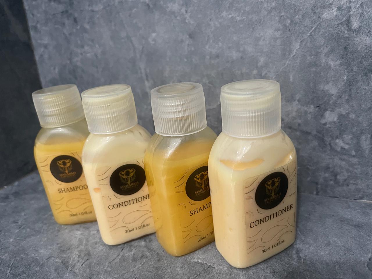 Rainforest accommodation exterior view